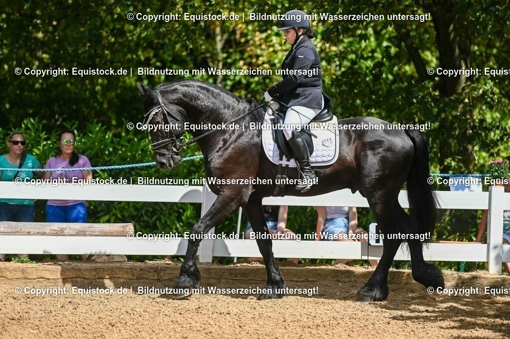 20230715_02_Dressurreiterprüfung Kl.L_0178 | equistock