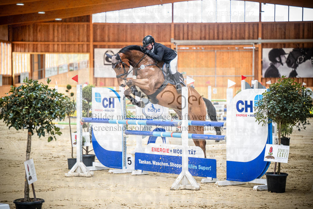 DOS_0154 | Entdecke hochwertige Reitturnierfotos von Foto Oger. Professionell, emotional und authentisch – jetzt Lieblingsmomente im Shop bestellen.Deutschlandweite Turnierfotografie. - Realisiert mit Pictrs.com