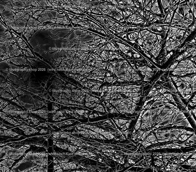 phototitusgraphy-IMG_2730_var-12 | titusgraphy-shop: Geschenkideen mit Qualitätsfotos. titusgraphy-shop: gift ideas with quality photos. titusgraphy-shop: idées cadeaux avec photos de qualité.  - Realisiert mit Pictrs.com