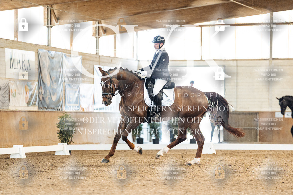 CK909374 | Turnierfotografie Pferdefotografie Trier Rheinland-Pfalz Pferdesport Reitsport Tierfotografie Sportfotografie Pferdevideo Pferdevideografie Equestrianvideography equestrianphotography  - Realisiert mit Pictrs.com