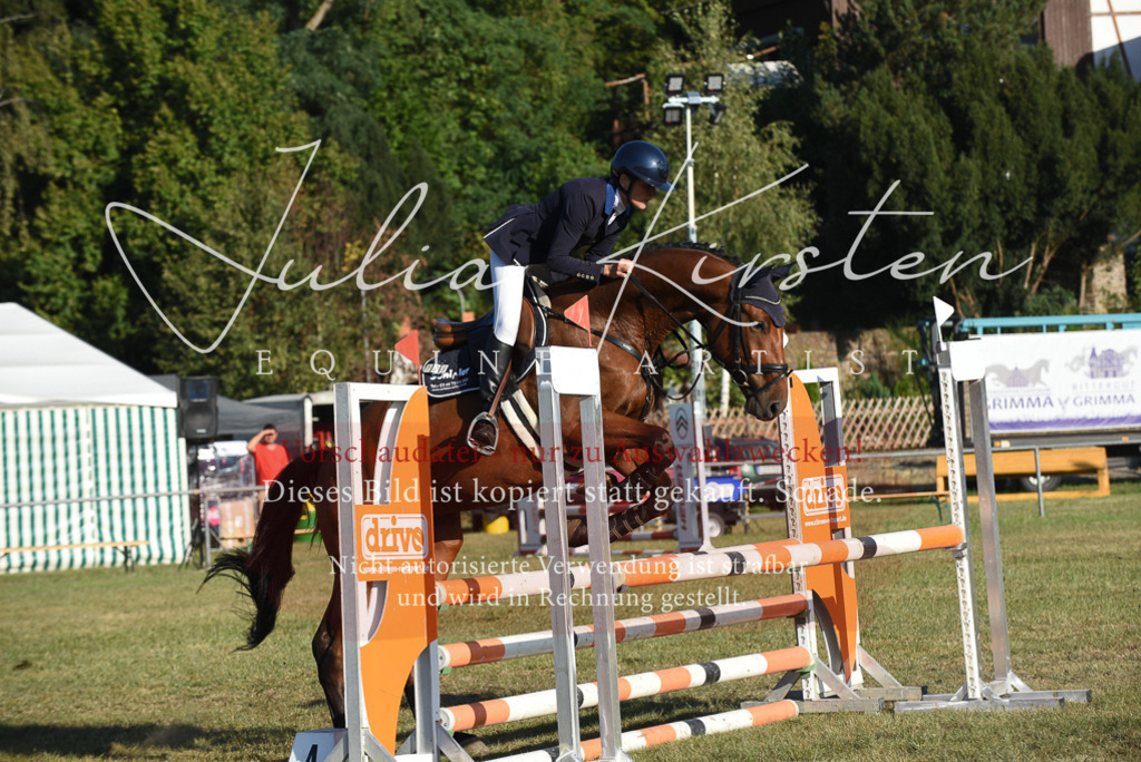 DSC_5042 | Pferde- und Turnierfotografie in Westsachsen. Pferdeportraits, Auftragszeichnungen und intuitive Kunst.