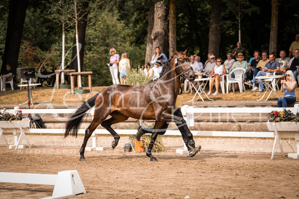 5.Fr00060 | Leoni Ertmer Photography - Realisiert mit Pictrs.com