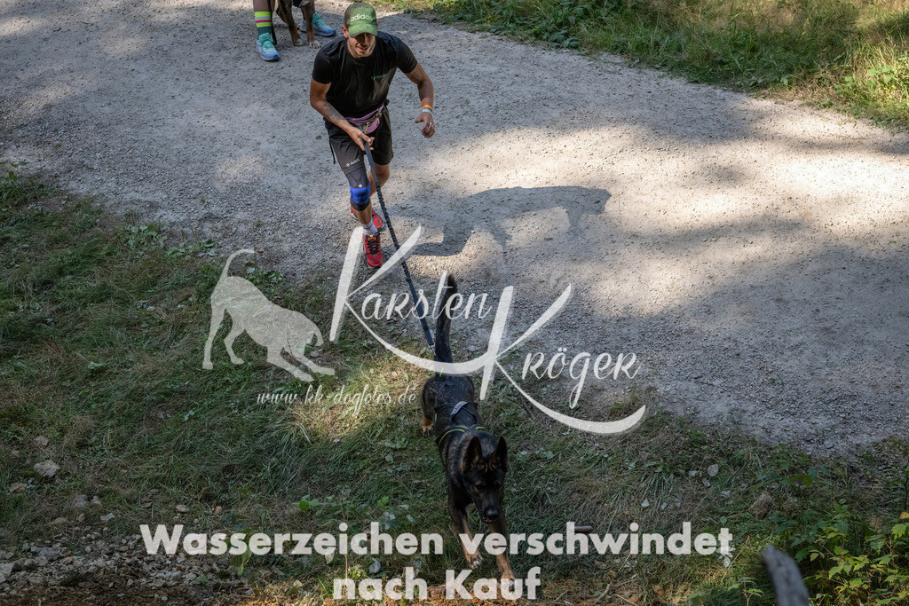 1241_ZZ94948 | kk-dogfotos