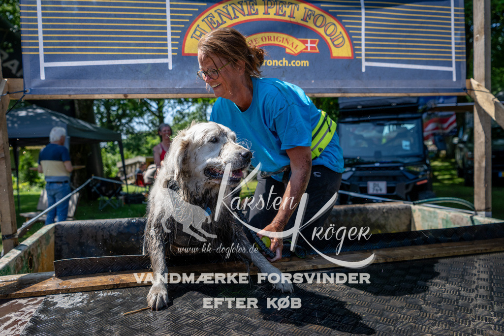 1243_ZZ91898 | kk-dogfotos