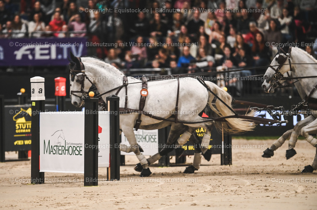 20241116_Fahren-Masterhorse_TOMsPiC_0188 | Foto: Thomas Hartig