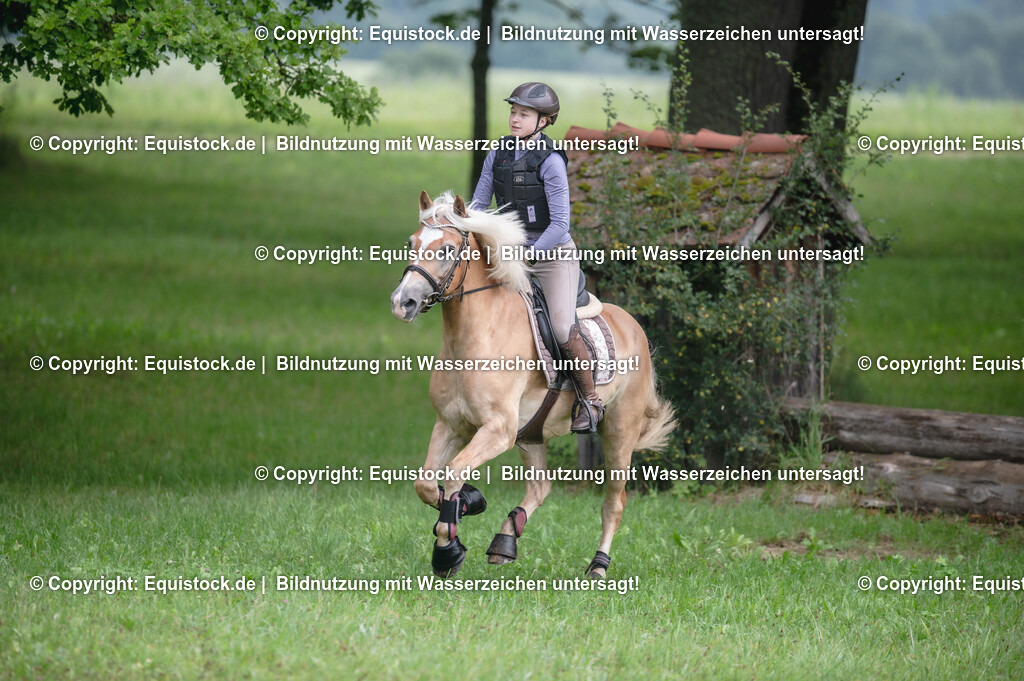 20250726_Vielseitigkeitslehrgang-Marbach_0178 | Foto: Thomas Hartig