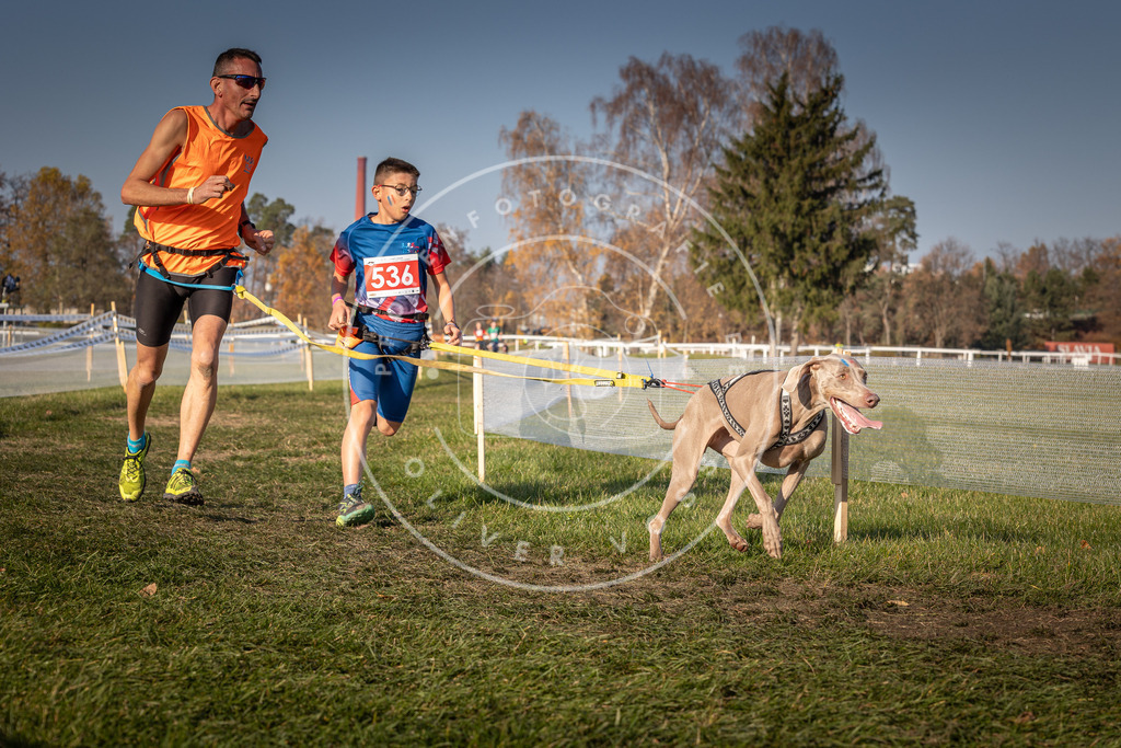 CaniXpix_0L8A8974 | Hundefotografie, Tierfotograf, Pfotenfotografie, Fotoshooting Hund, Hunde Portrait, Hundesport, Hundeportraits, Heideshooting, Hunde, Sportfotograf, Hundefotograf, Turnierhundsport, THS,  - Realisiert mit Pictrs.com