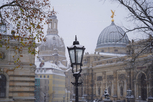 DSC00133 | Fotografie Photography Dresden Photoshooting  Fotoshooting Fotografin Dresdencity Bilder  Foto Dresdenvideos Kalender Postkarten Bilderdownload Portrait Hochzeitsfotografie Familienfotos Bewerbungsbilder Studiofotografie Fotograf Dresdenbilder Business - Realisiert mit Pictrs.com