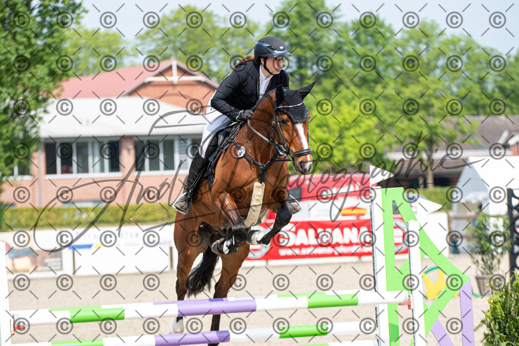 KPT_2691 | andre_photographic