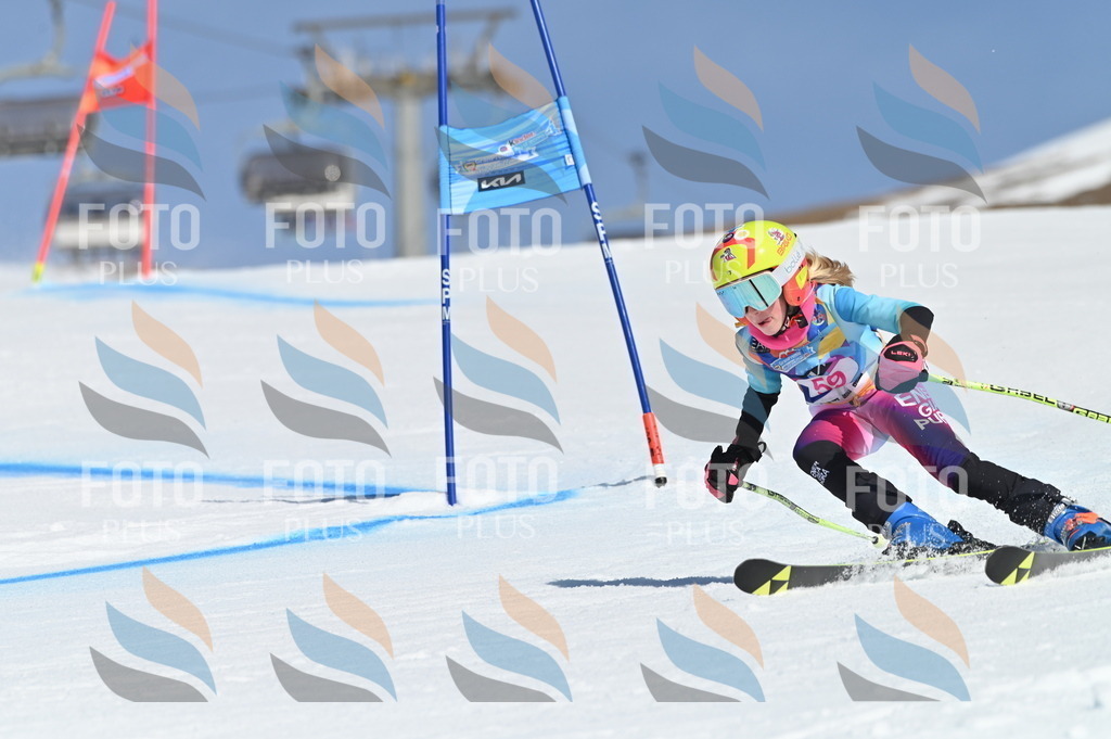 BGV_8713 | holidayphoto