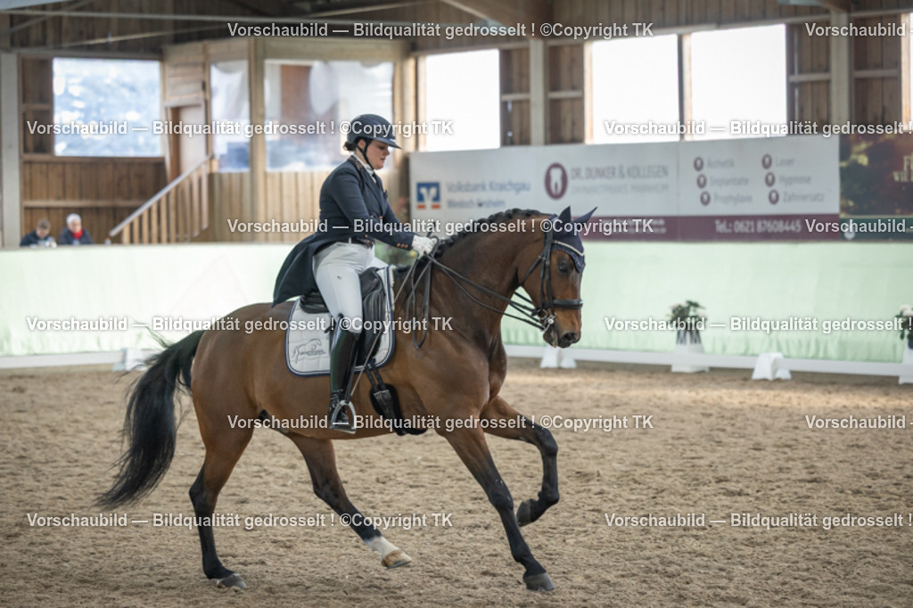 _D5A6606 | Emotionale Pferde- & People-Fotografie rund um Heidelberg, Leimen & Umgebung. Natürliche Fotos von Pferd, Mensch & Familie. Jetzt Termin sichern!