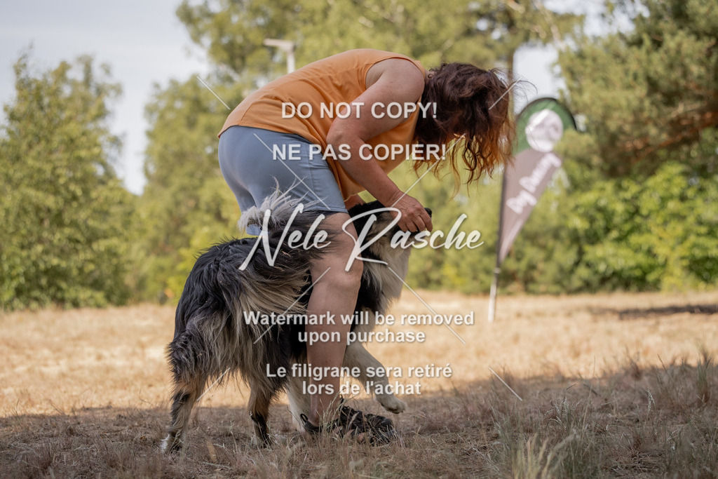 nelerasche_soDD2_459 | nelerasche