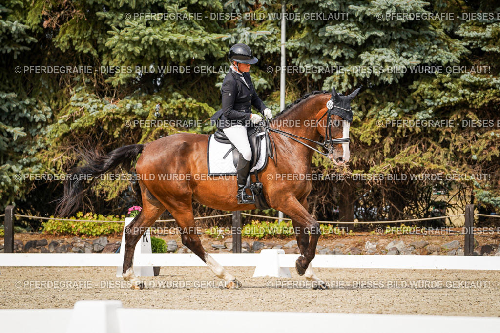 DSC06521 | Pferdegrafie