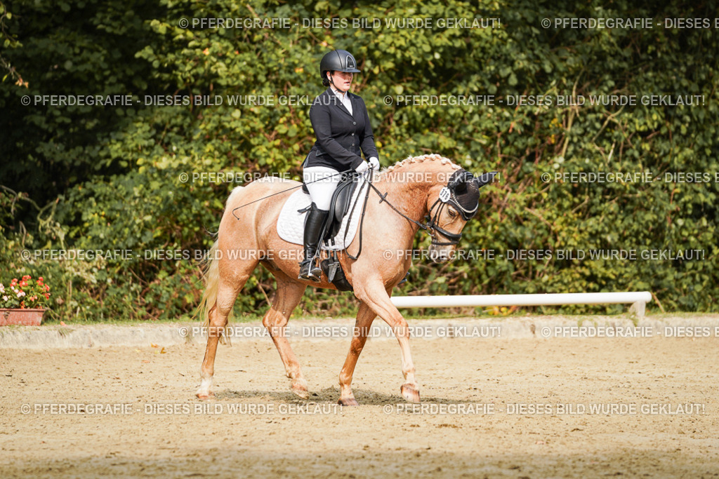 DSC03059 | Pferdegrafie