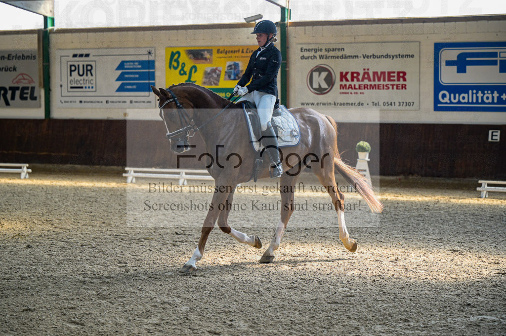 Reitturnier Voxtrup | Entdecke hochwertige Reitturnierfotos von Foto Oger. Professionell, emotional und authentisch – jetzt Lieblingsmomente im Shop bestellen.Deutschlandweite Turnierfotografie. - Realisiert mit Pictrs.com