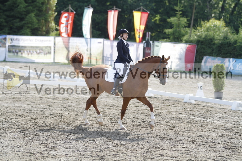 _MG_2403 | equestrian-live-com