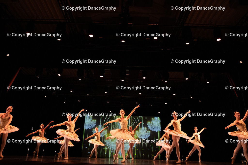 GPHY6565 | DanceGraphy - Realisiert mit Pictrs.com