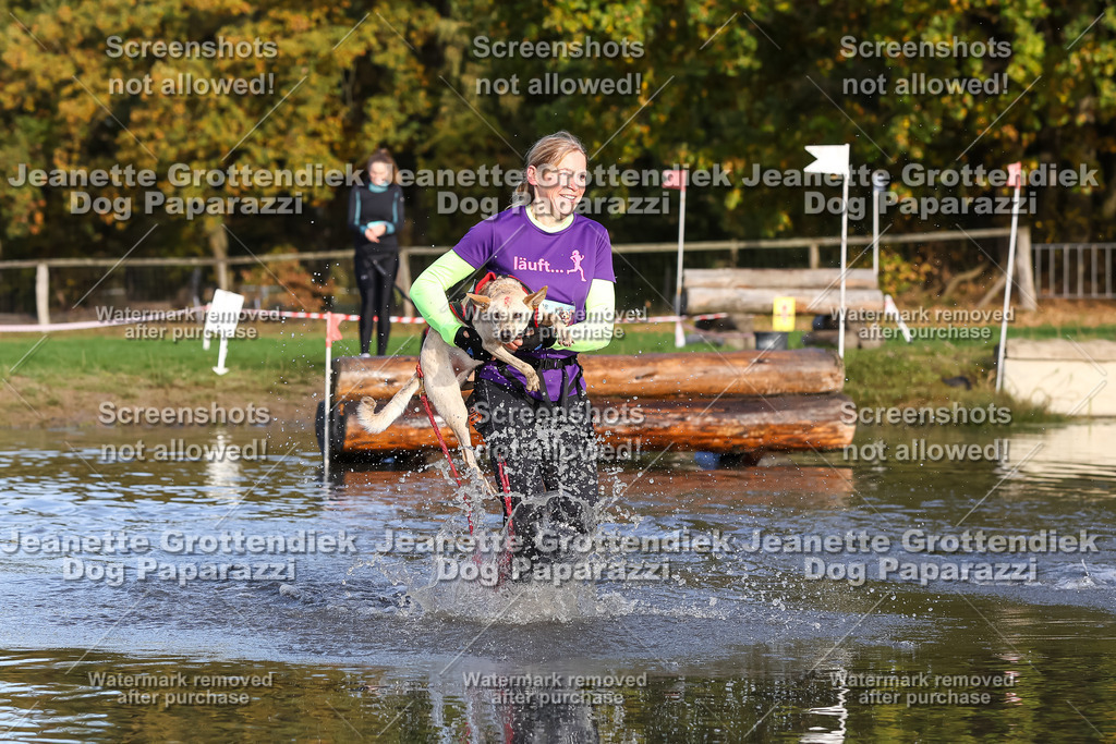 Dog Paparazzi - Strongdog 10-25-8371 | Dog Paparazzi Jeanette Grottendiek Fotografie & Videografie - Realisiert mit Pictrs.com