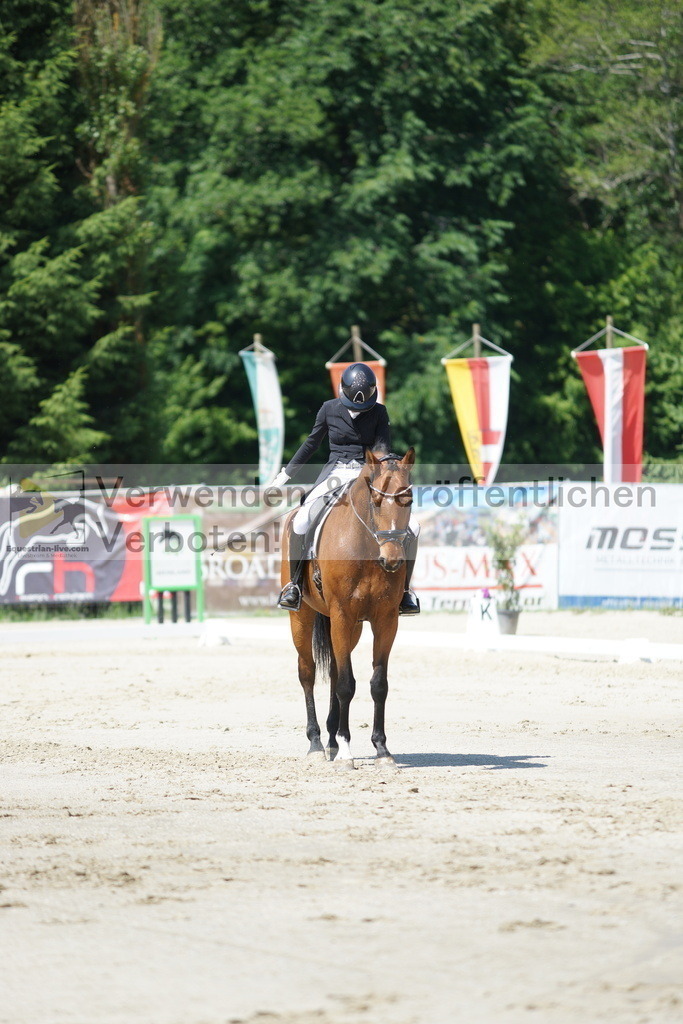 DSC03157 | equestrian-live-com
