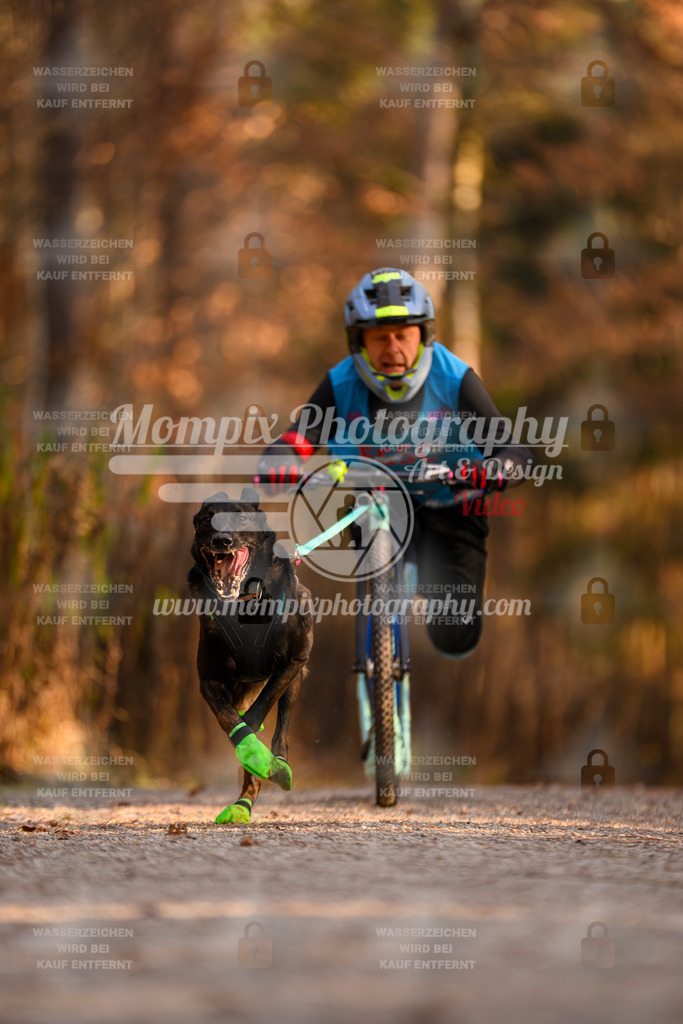 MompixPhotography_DM_AKDM_SO_2025_Scooter-220 | PayLife