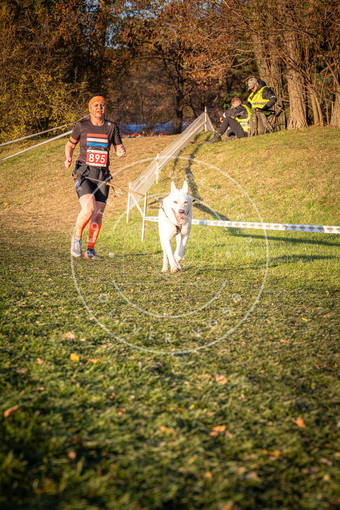 CaniXpix_0L8A1366 | Hundefotografie, Tierfotograf, Pfotenfotografie, Fotoshooting Hund, Hunde Portrait, Hundesport, Hundeportraits, Heideshooting, Hunde, Sportfotograf, Hundefotograf, Turnierhundsport, THS,  - Realisiert mit Pictrs.com