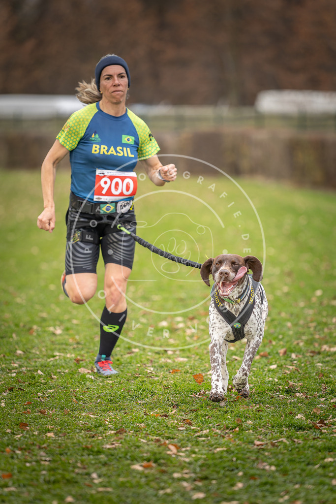 CaniXpix_DV3A6498 | Hundefotografie, Tierfotograf, Pfotenfotografie, Fotoshooting Hund, Hunde Portrait, Hundesport, Hundeportraits, Heideshooting, Hunde, Sportfotograf, Hundefotograf, Turnierhundsport, THS,  - Realisiert mit Pictrs.com