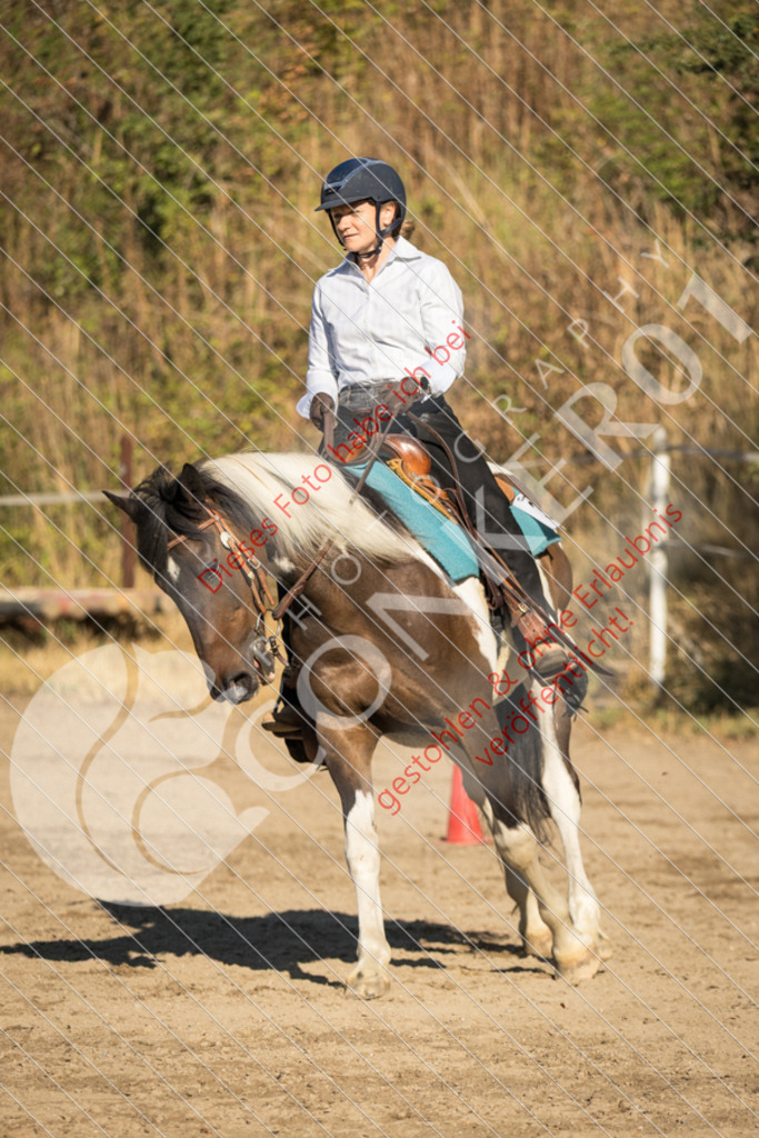 IMG_6576 | Sport-, Event- und Tierfotos in Profiqualität. Einfach auswählen, bestellen und herunterladen. Dein Moment – perfekt festgehalten.