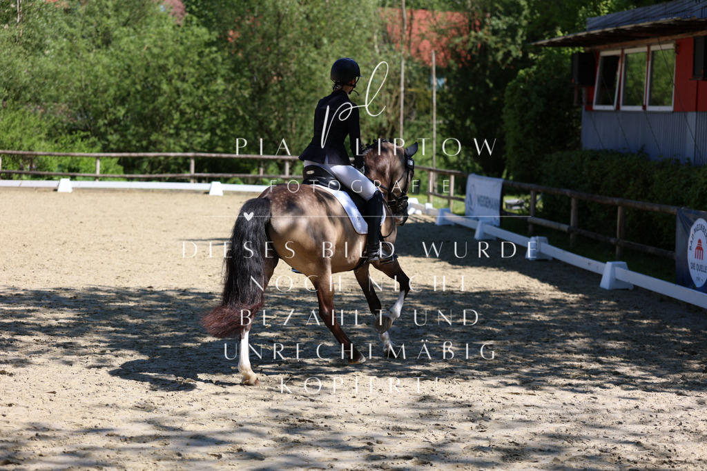 IMGS0804 | pl-fotografie