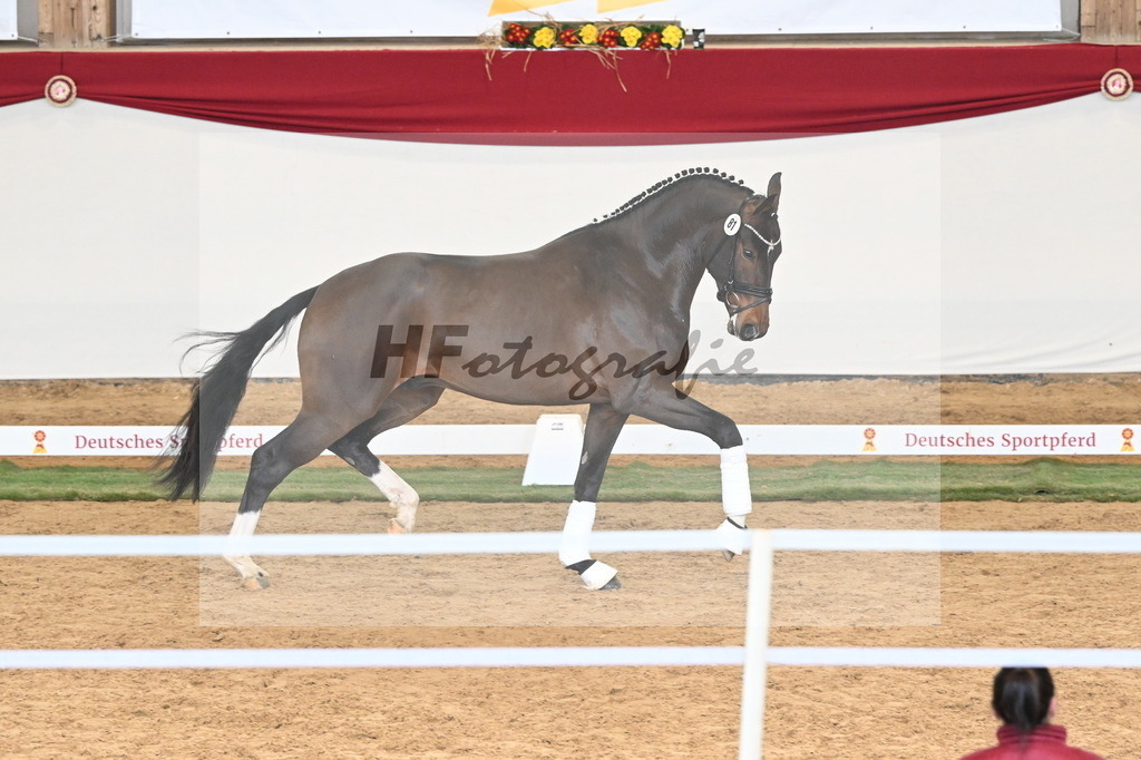 Kat.-Nr. 81 v. Va Bene_Greim_3261149 | hf-fotografie - Realisiert mit Pictrs.com