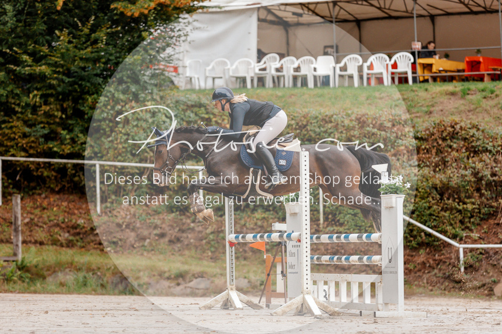 3I6A5591 | Stimmungsvolle Portraits und Reitsportfotografie im Ruhrgebiet und im Münsterland.

Pferdefotografie, Hundefotografie, Tierfotografie, Reportagen, Portraits von Tier und Mensch, Turnierfotografie in Bochum, Recklinghausen, Marl, Haltern am See, Dülmen.. - Realisiert mit Pictrs.com