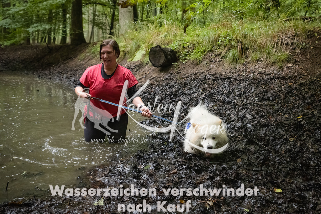 0937_ZZ90904-Bearbeitet | kk-dogfotos