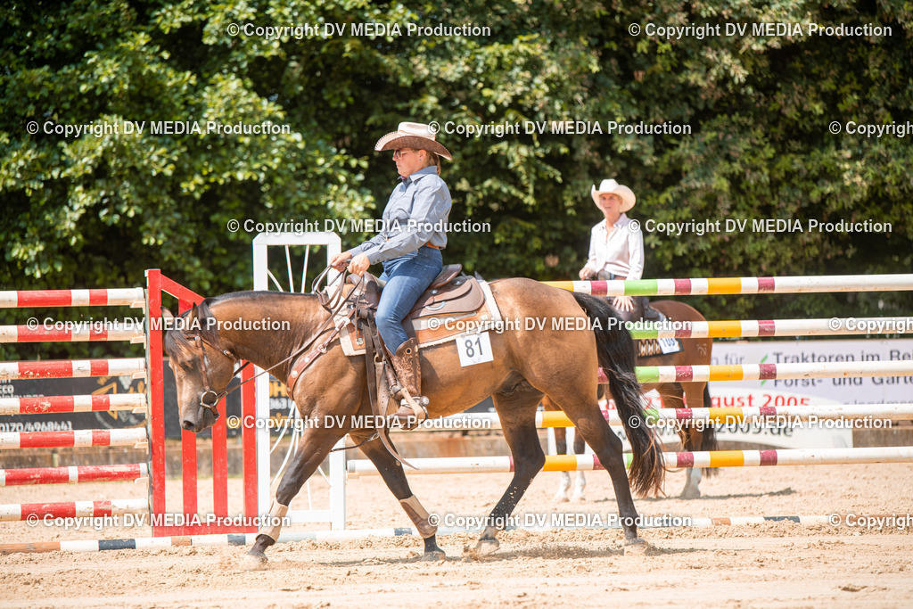 ZS2_8301 | dv-media-shop - Realisiert mit Pictrs.com