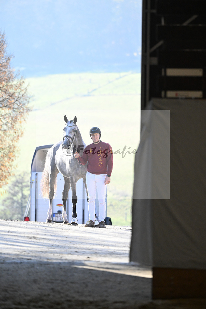 Kat-Nr. 12 I_m Special de Muze x Colman_Michaela Aeschbacher _47250173 | hf-fotografie - Realisiert mit Pictrs.com