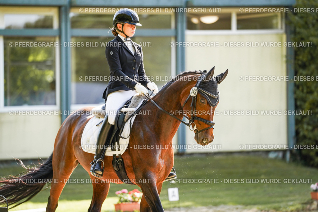 DSC07185 | Pferdegrafie