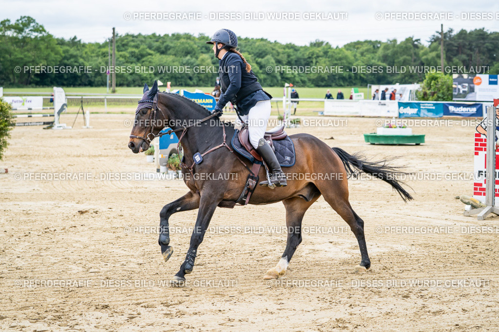 DSC05069 | Pferdegrafie