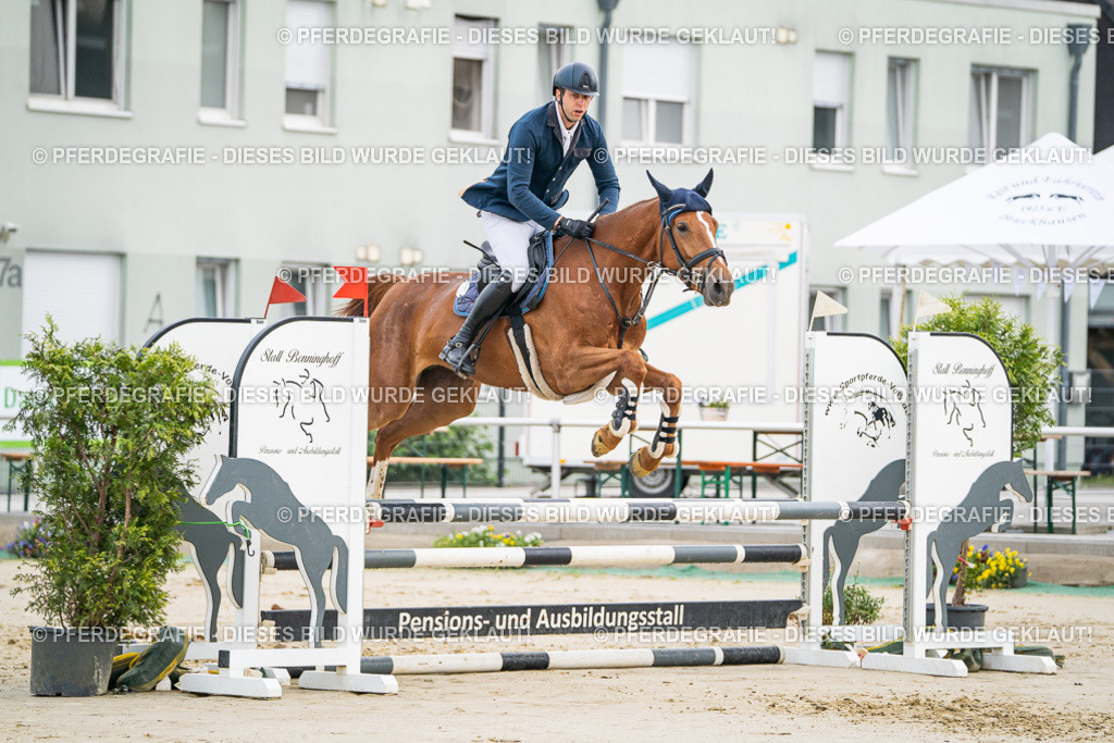 DSC08489 | Pferdegrafie