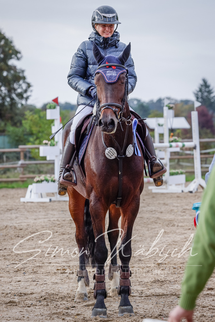 20251012-_3LI5327 | Tierfotografie Pferde, Hunde, Katzen, Haustiere.
Turnierfotografie Reitturniere, Reiten, Springreiten, Dressur in Hanau, dem Main-Kinzig-Kreis und dem Rhein-Main- Gebiet um Frankfurt