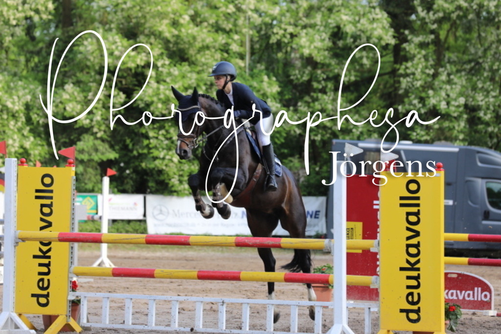 IMG_9115 | photographesa-joergens - Realisiert mit Pictrs.com