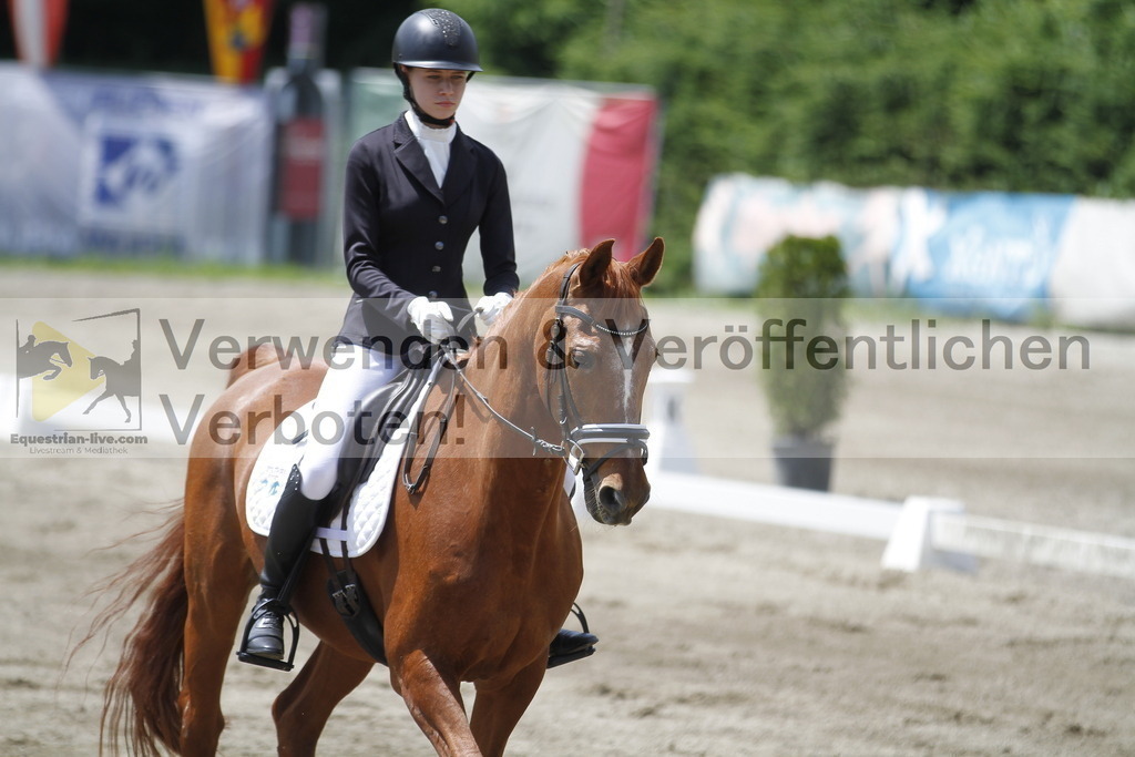 _MG_1344 | equestrian-live-com