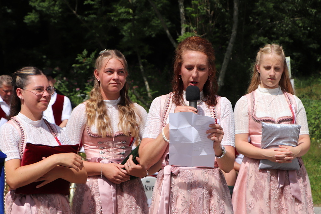 Das_Fest_150_Jahre_FFw_Hochdorf (290) | Professionelle Fotos Ihrer Veranstaltung? Pressebüro Thexterei Downloadbereich!   - Realisiert mit Pictrs.com