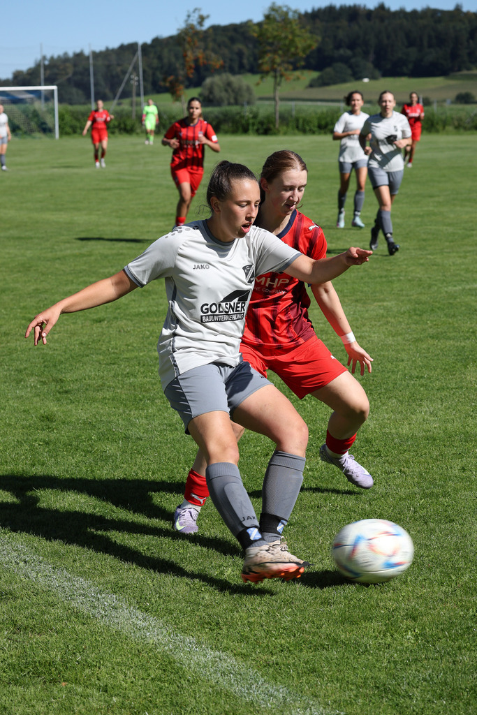 Fußball I FRAUEN I Saison 2025-2026 I Freundschaftsspiel I FC Loppenhausen - 1FC Heidenheim 1846 II I_250831_8376 | Fotopresso – Sportfotografie in Heidenheim & Umgebung. Professionelle Sportfotografie für unvergessliche Momente. Dynamische Action-Shots, emotionale Szenen & hochwertige Bilder. - Realisiert mit Pictrs.com