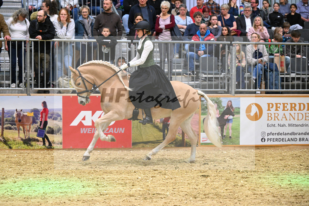 Schauprogramm_DSP Daria_1260875 | hf-fotografie - Realisiert mit Pictrs.com