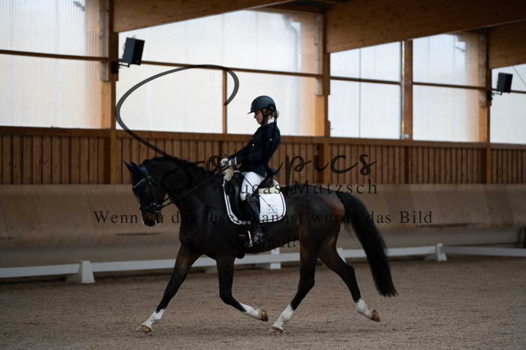 A7V02137 | Pferdefotograf