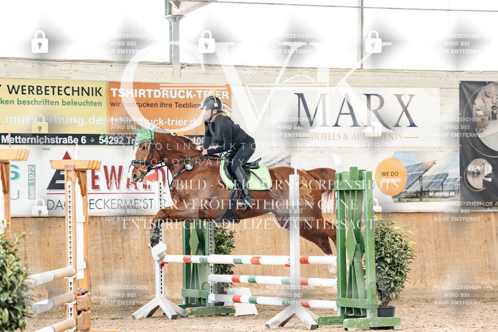 CK905464 | Turnierfotografie Pferdefotografie Trier Rheinland-Pfalz Pferdesport Reitsport Tierfotografie Sportfotografie Pferdevideo Pferdevideografie Equestrianvideography equestrianphotography  - Realized with Pictrs.com