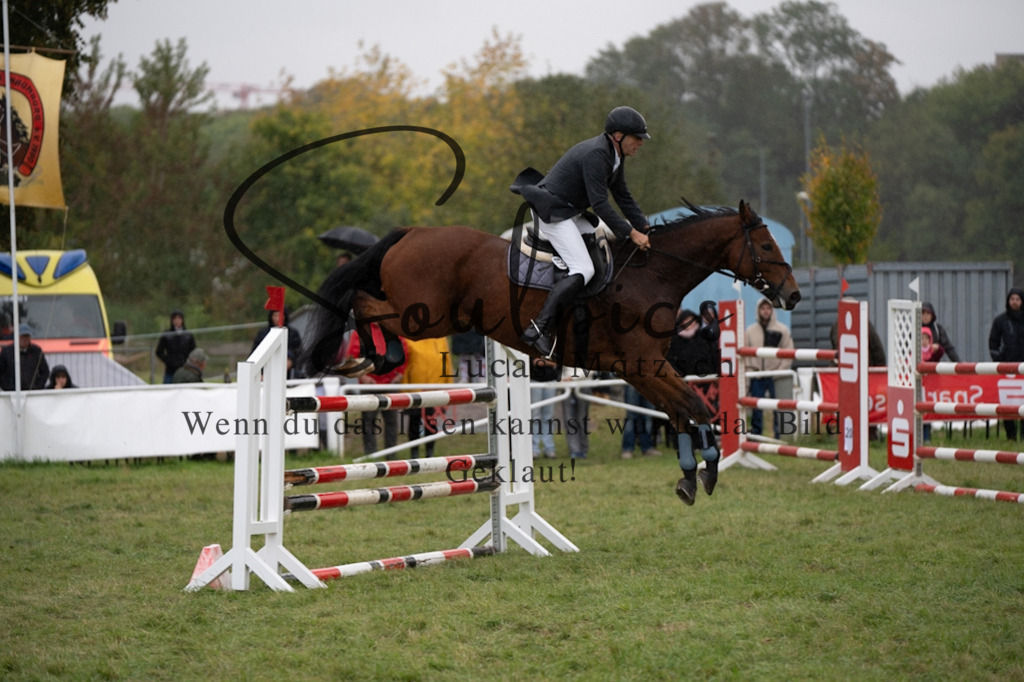 A7V07465 | Pferdefotograf