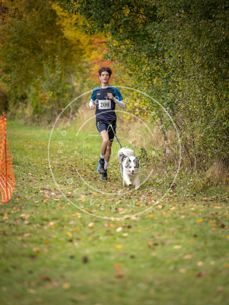 Pfotenfotografie_DV3A3782 | Hundefotografie, Tierfotograf, Pfotenfotografie, Fotoshooting Hund, Hunde Portrait, Hundesport, Hundeportraits, Heideshooting, Hunde, Sportfotograf, Hundefotograf, Turnierhundsport, THS,  - Realisiert mit Pictrs.com