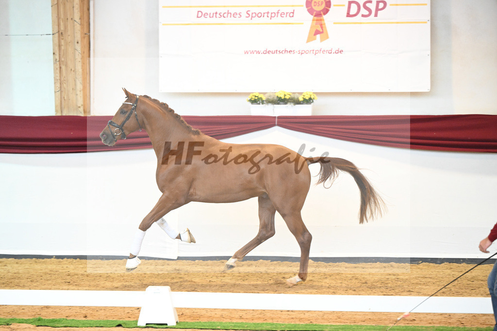 Kat-Nr. 28 v. Erdinger_Schuhmacher_66220814 | hf-fotografie - Realisiert mit Pictrs.com