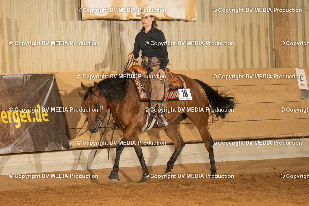 NID01458 | dv-media-shop - Realisiert mit Pictrs.com