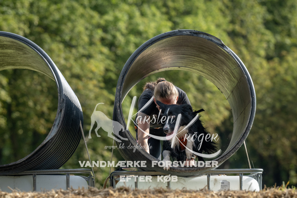0940_ZZ90853 | kk-dogfotos