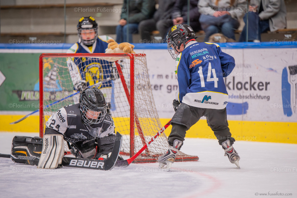 DSC_1305 | "Fussifoto.com – Ihr Ansprechpartner für hochwertige Fotografie! Entdecken Sie kreative Bilder und professionelle Dienstleistungen. Kontaktieren Sie uns für Ihre Projekte!"